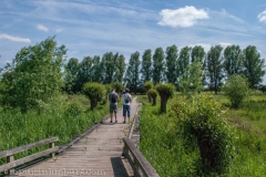 Roode-Beek-4-van-5