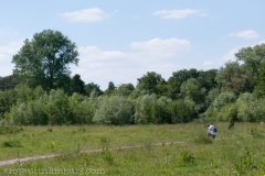 Roode-Beek-5-van-5