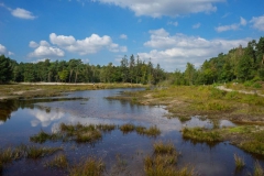 Brunssummerheide-21-fotograaf-Cor-Niemantsverdriet