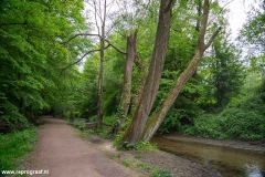 Cranenweyer (Groene Long)