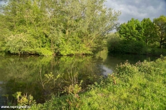 Anstelerbeek-12