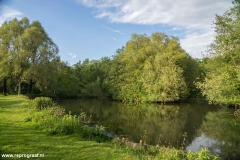 Anstelerbeek-14