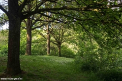 Anstelerbeek-15