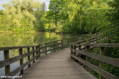 Anstelerbeek-16