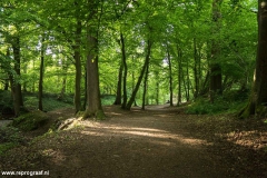 Anstelerbeek-4
