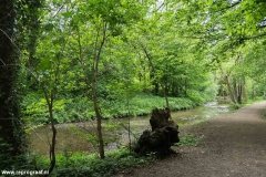 Anstelerbeek-5