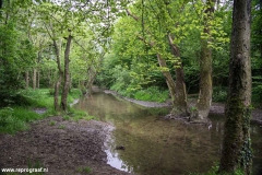 Anstelerbeek-7