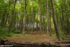 Anstelerbeek-9