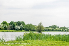 eijsder-beemden-12