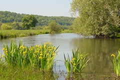 eijsderbeemden-header