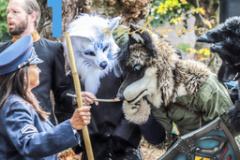 Elfia-border-control