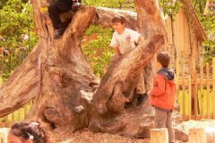 GaiaZOO-2012-18