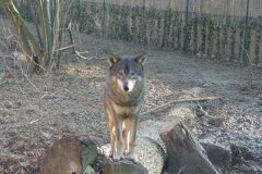 GaiaZOO-2012-20