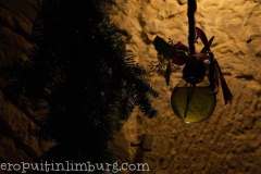 Kerstmarkt-Valkenburg-en-Fluweelengrot-37
