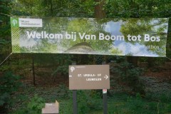 DSCN0485