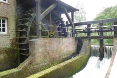 DSCN0497