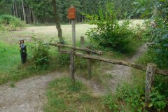 DSCN0523