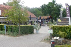 DSCN0528
