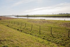 Maasdal-1
