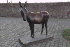 Maastricht-dn-ezell