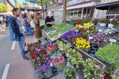 Oranjebraderie-Brunssum-11