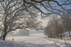 Sneeuw in Landgraaf