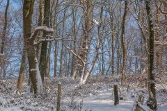 sneeuw-eropuit-24