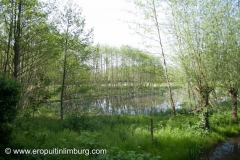 Strijthagerbeekdal-12