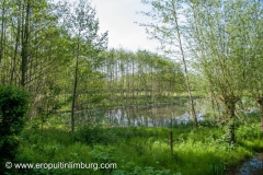 Strijthagerbeekdal-13