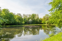 Strijthagerbeekdal-6