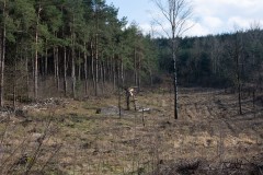 Teverener Heide