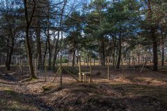 Teverener-Heide-15