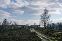 Teverener-Heide-35