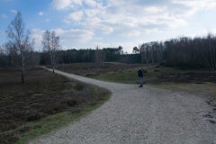 Teverener-Heide-38