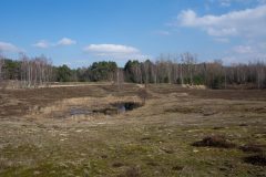Teverener-Heide-4