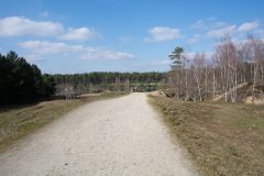 Teverener-Heide-6