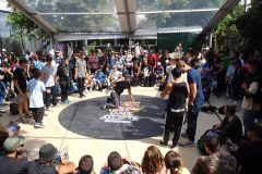 20643385_1377630122344429_5420404823847316022_o