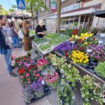 markt braderie eropuitinlimburg ()
