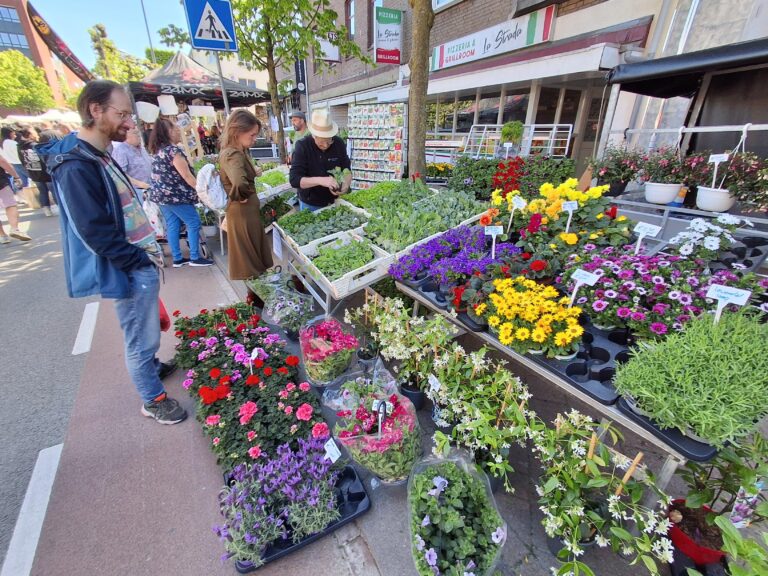 Activiteiten en evenementen in Limburg 87 markt braderie eropuitinlimburg ()