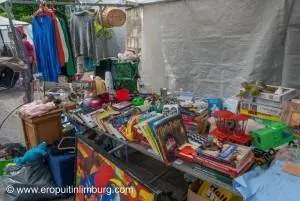 Uittips Limburg 45 Zomermarkt Walem