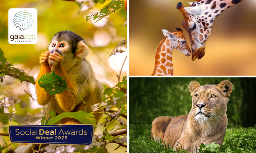 Entree voor GaiaZOOErvaar hoe bijzonder de aarde is bij GaiaZOO tijdens een onvergetelijk dagje uit voor groot én klein