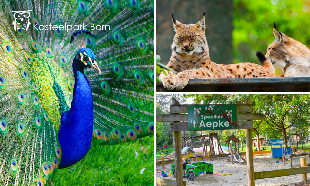 2 entreekaarten voor Kasteelpark Born: beleef een fantastische dag in één van de mooiste dierenparken van Nederland