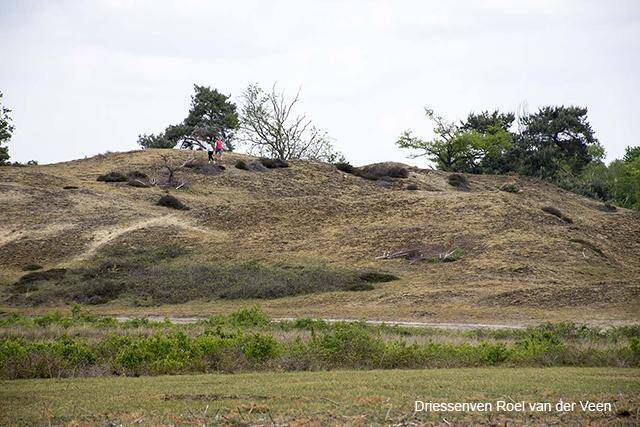 Nationaal Park De Maasduinen in Noord-Limburg