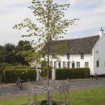 Culturele route 01 Koningshek Andrea Almering staand website 200x300 1