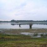 De Banen Nederweert 300x225 1