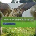 Maastricht Sint Pietersberg 300x225 1