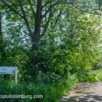 Rimburg wormdal 11 300x201 1