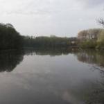 groene long 300x201 1