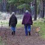 wandelen