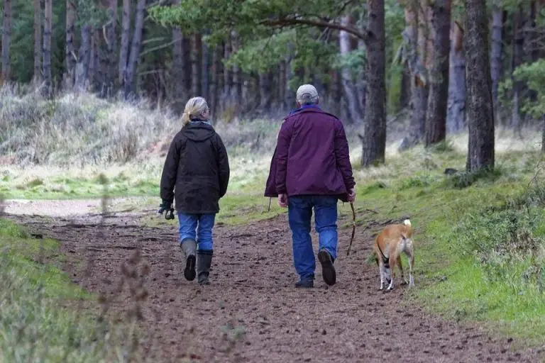wandelen